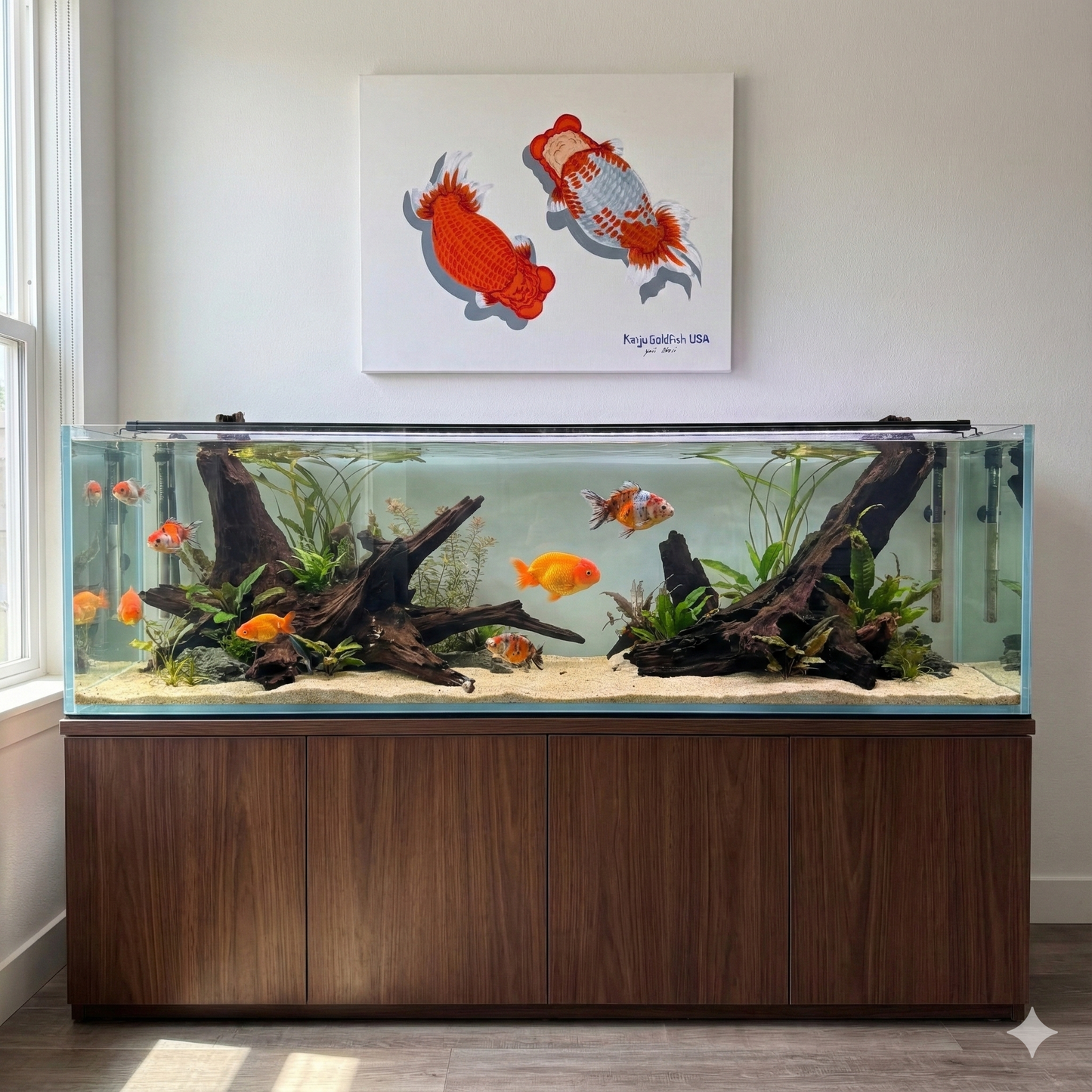 Hand Painted Red and White Top View Ranchu Goldfish Art