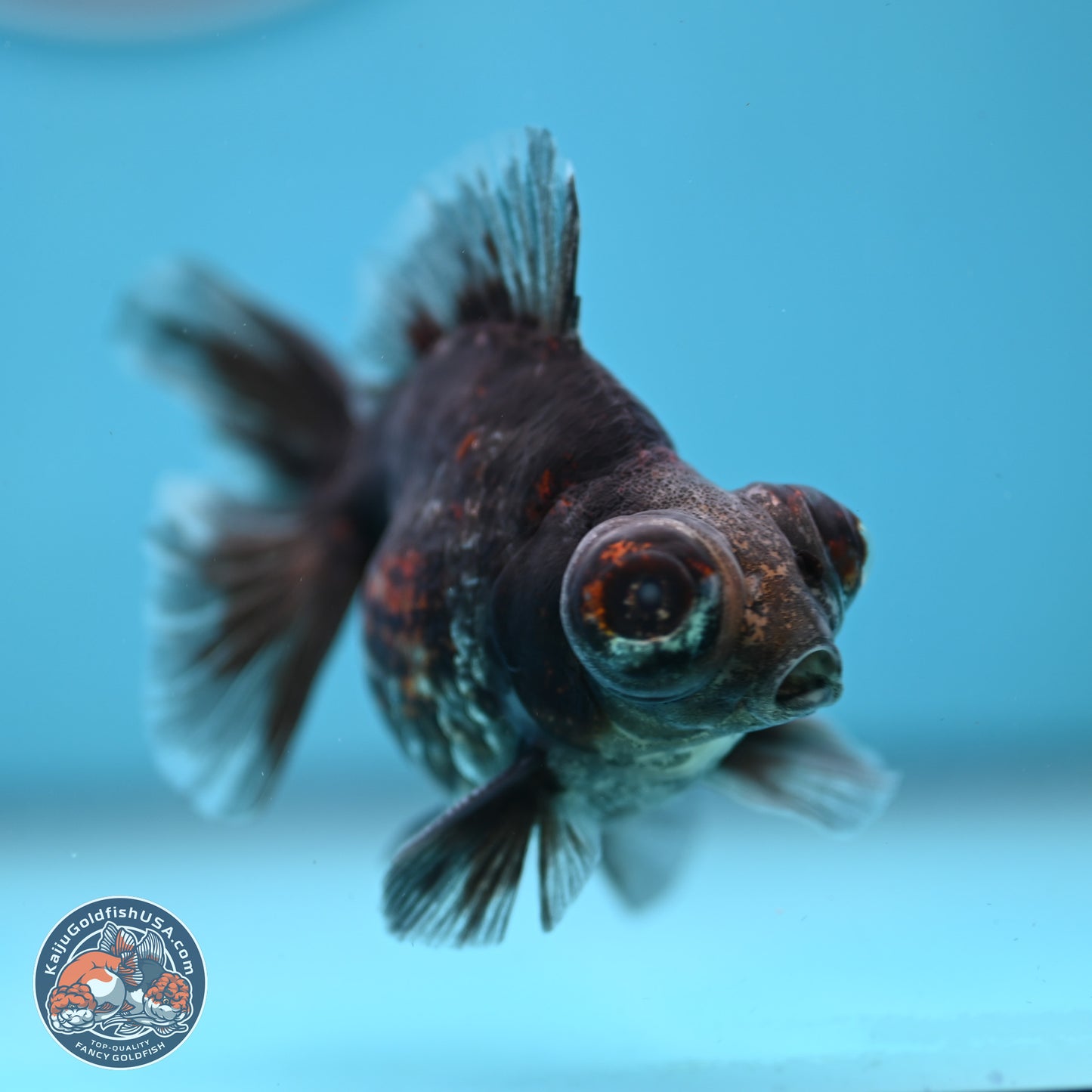 Kirin Demekin 3.25 inches Body - Male (250214_DK03)