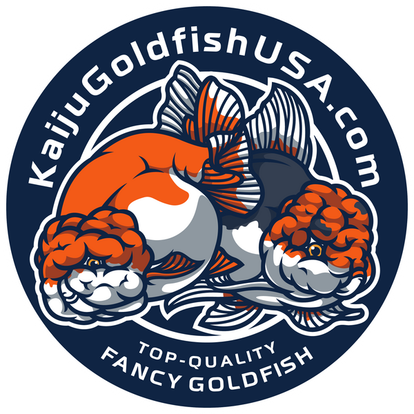 Kaiju Goldfish USA