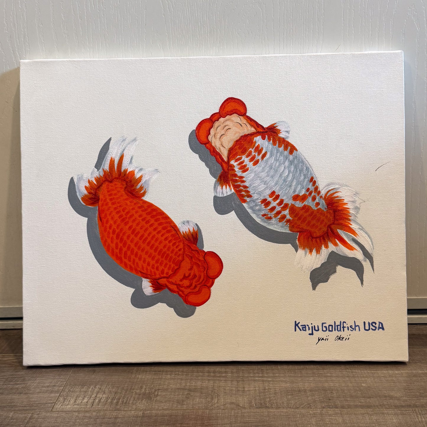 Hand Painted Red and White Top View Ranchu Goldfish Art