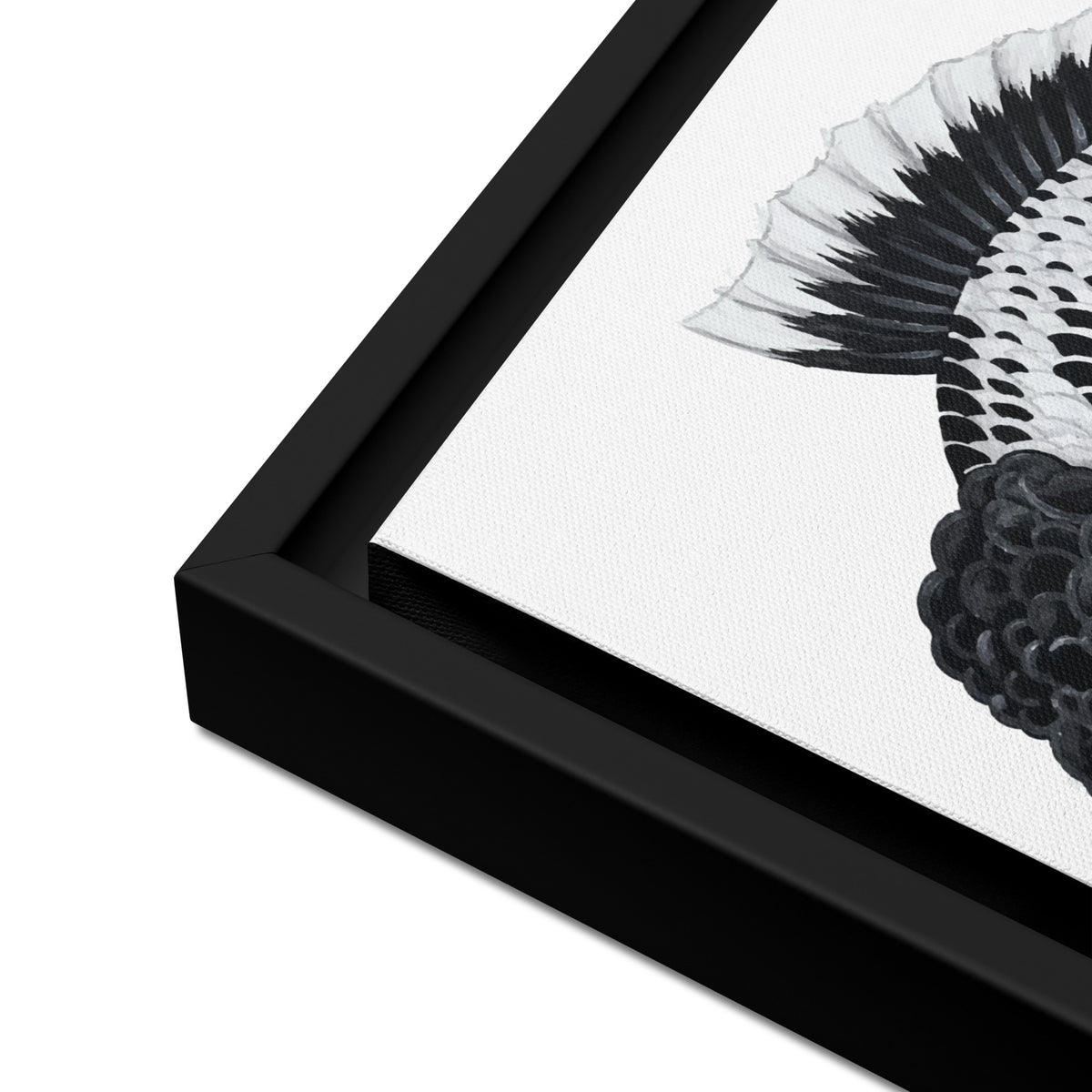 Black Cap Panda Oranda Framed Canvas | Black and White Fancy Goldfish Wall Art
